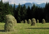 Widok na Tatry z Gubałówki