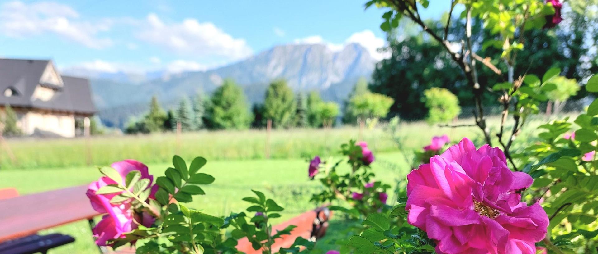 Slajd 3 - naSopie - noclegi Witów Zakopane